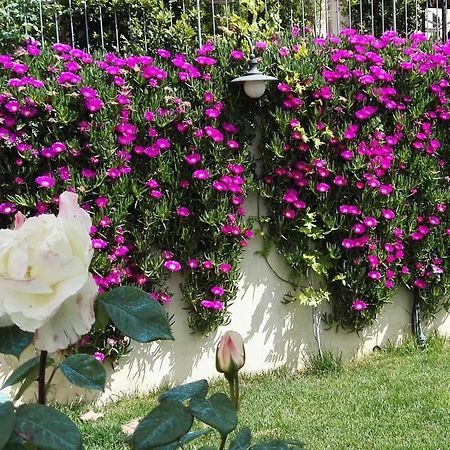 All'Aia Bianca 1868 Soianella エクステリア 写真
