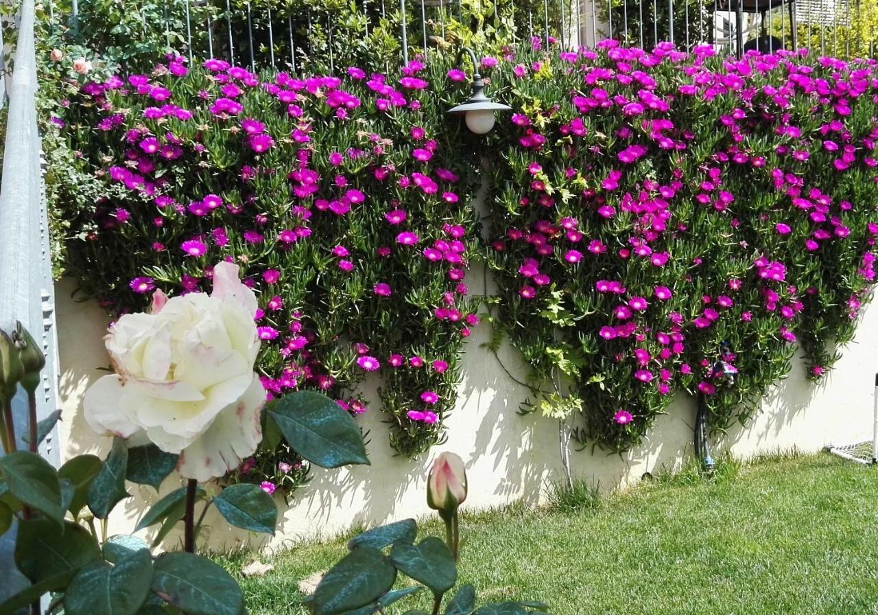 All'Aia Bianca 1868 Soianella エクステリア 写真